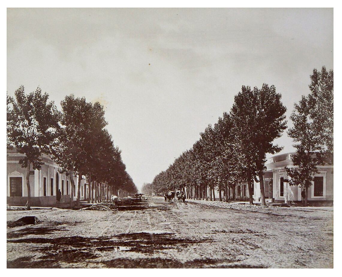 Calle San Nicolás (actual Avenida San Martín), en primavera. Las avenidas eran anchas, al igual que las veredas y la arboleda se planificó para dar mucha sombra en el verano.