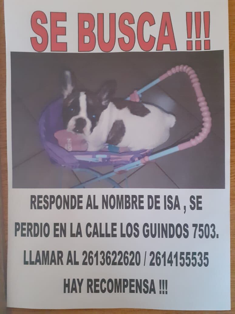 Cualquier dato o información que se pueda aportar sobre Isa será más que bien recibida en los teléfonos (0261) 154155535 y (0261) 153622620.