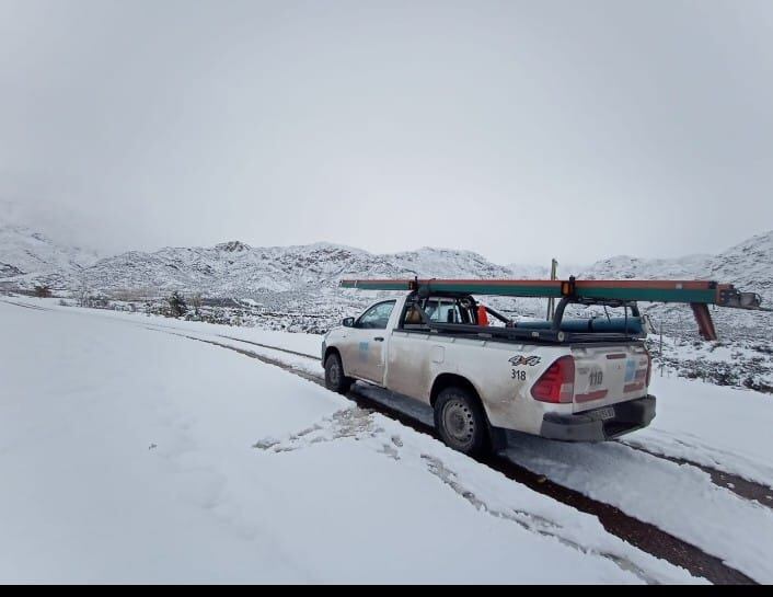 Edemsa en Potrerillos