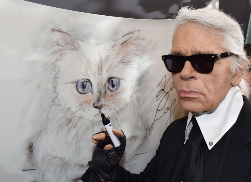 
Choupette fue protagonista de un libro, de campañas de publicidad e incluso de una colección de accesorios felinos | AFP
   