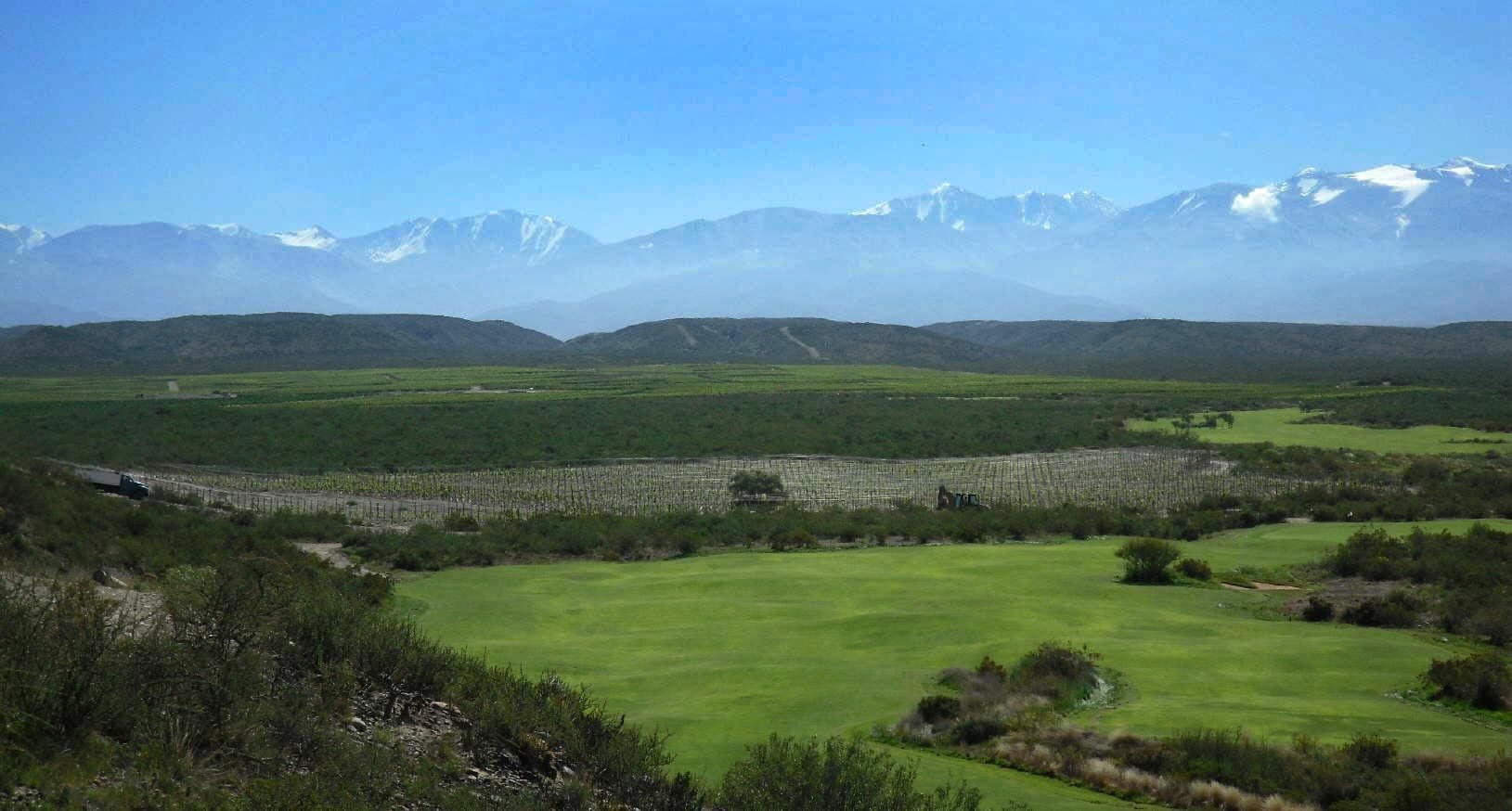 Hay más tierras productivas, pero cada vez en menos manos