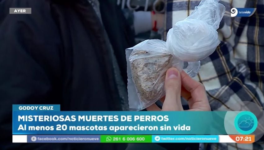 
La bolsitas que encontraron los vecinos del barrio Supe Sur. | Gentileza / Noticiero 9
   