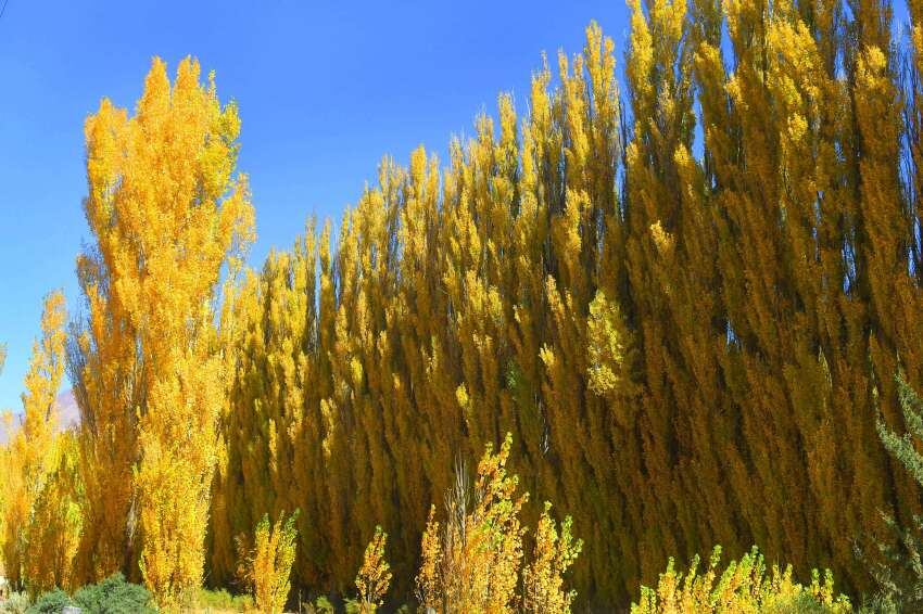 Mendoza en Otoño: imágenes maravillosas captadas por la cámara de Los Andes