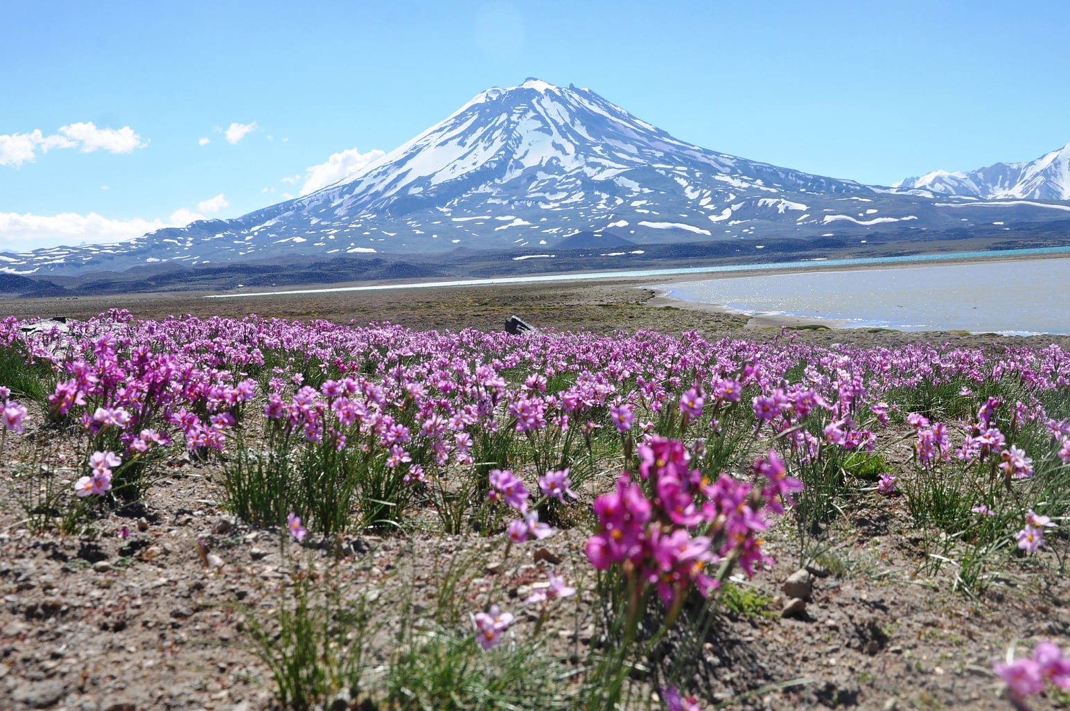 Una de nuestras maravillas naturales, la Laguna del Diamante. Foto de Archivo