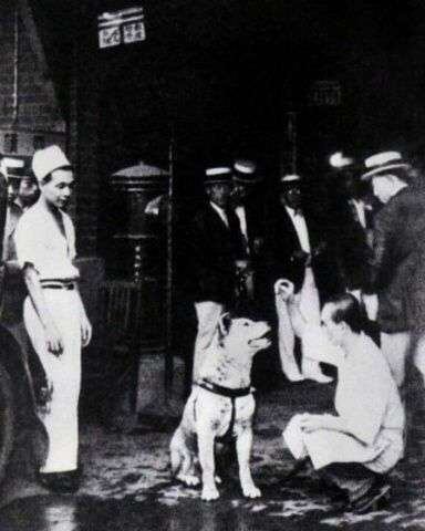 
    Hachiko se hizo famoso en japón y en el resto del mundo. Foto gentileza
   