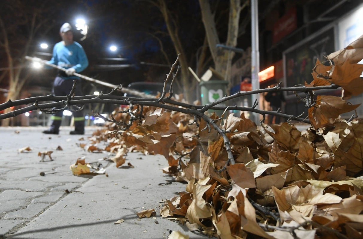 Dos derrumbes de techos, 12 casas inundadas y árboles y postes caídos: lo que dejó la tormenta . Foto: José Gutiérrez / Los Andes (Imagen ilustrativa)