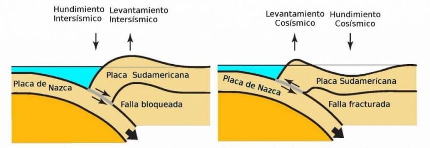 
    Movimientos de placas: Nasca y Sudamericana.
   