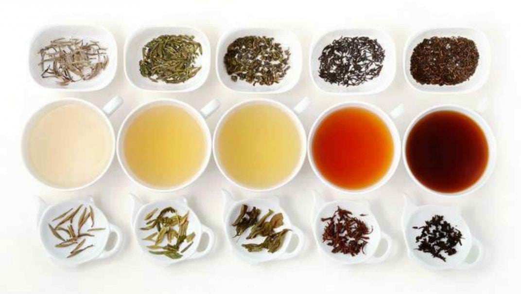 Cada tipo de té se debe infusionar a una temperatura determinada.