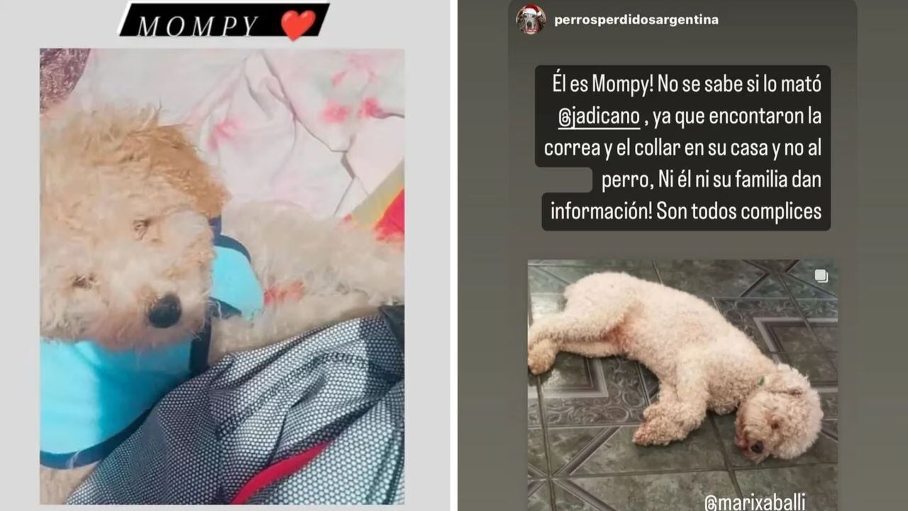 Los intentos de Jessica por recuperar a Mompy han sido en vano. (Gentileza: TN)