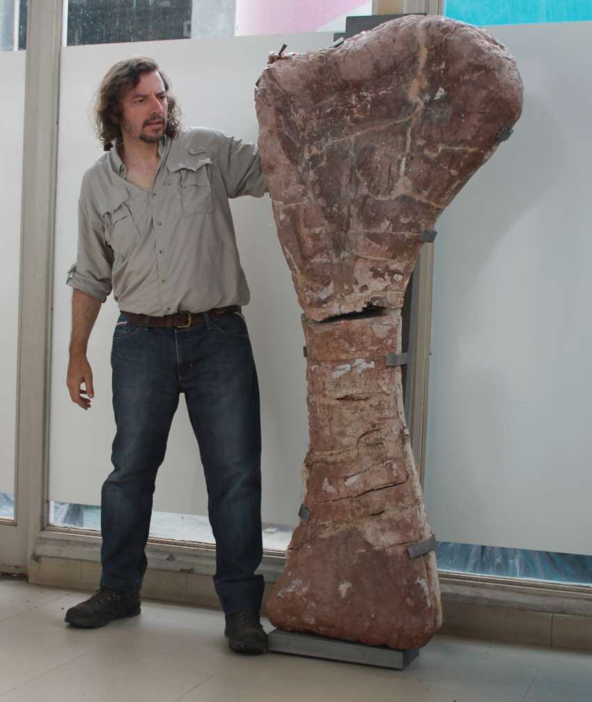 
González Riga con el húmero de un Notocolossus. | Foto gentileza.
   