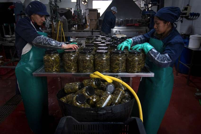 
Cambios. Varios de estos productores están siguiendo las tendencias mundiales de consumo de productos saludables. | Orlando Pelichotti / Los Andes
   