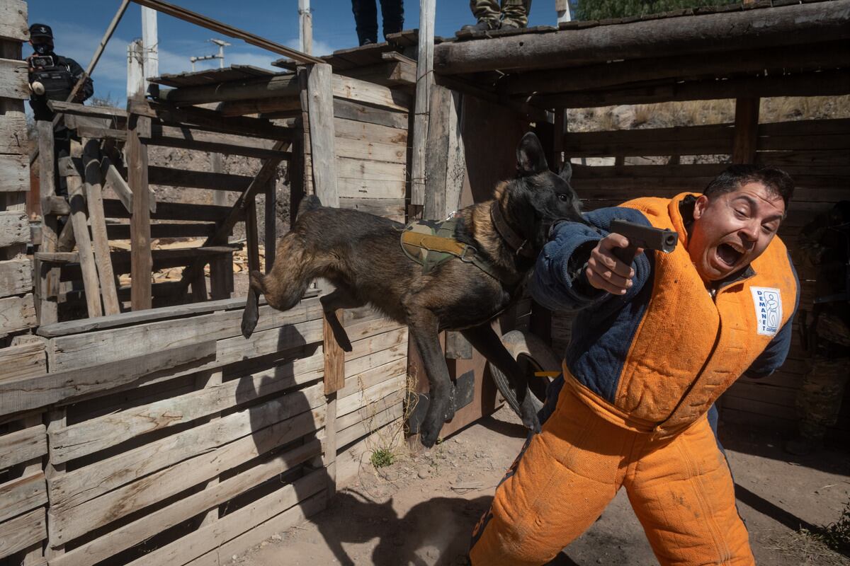 Foto: Ignacio Blanco / Los Andes