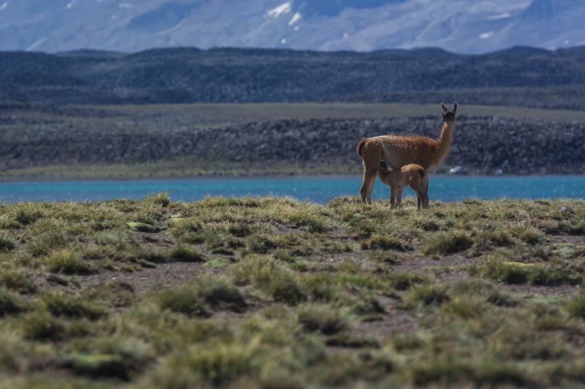 Paso a Chile por la Laguna del Diamante: quieren habilitarlo provisoriamente para el próximo verano. Foto: Archivo Los Andes