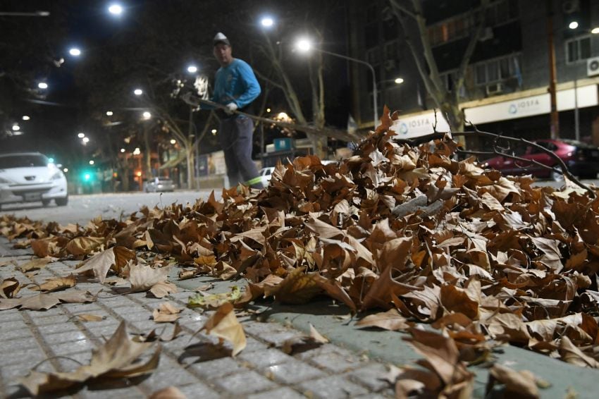 
Centro. Hojas y ramas de los plátanos por las calles y veredas. | José Gutiérrez / Los Andes
   