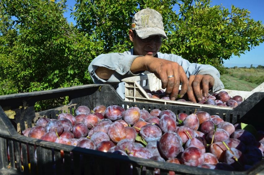 
La dirección de Contingencias Climáticas de la zona sur recibió este año más  de 1.500 denuncias por daños. | Archivo / Los Andes
   