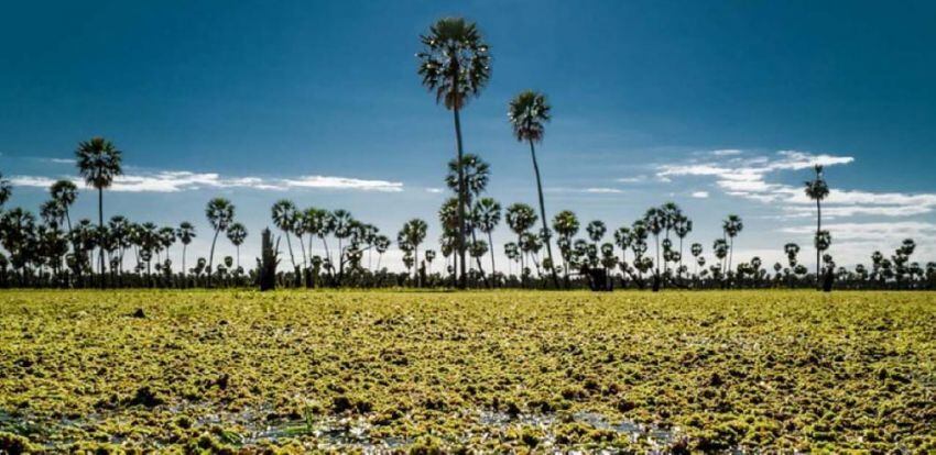 
    Formosa. Un encanto turístico, el Bañado La Estrella, otro de los premiados por los argentinos viajeros.
   