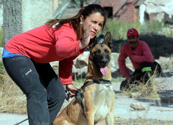 Perros adiestrados para encontrar personas