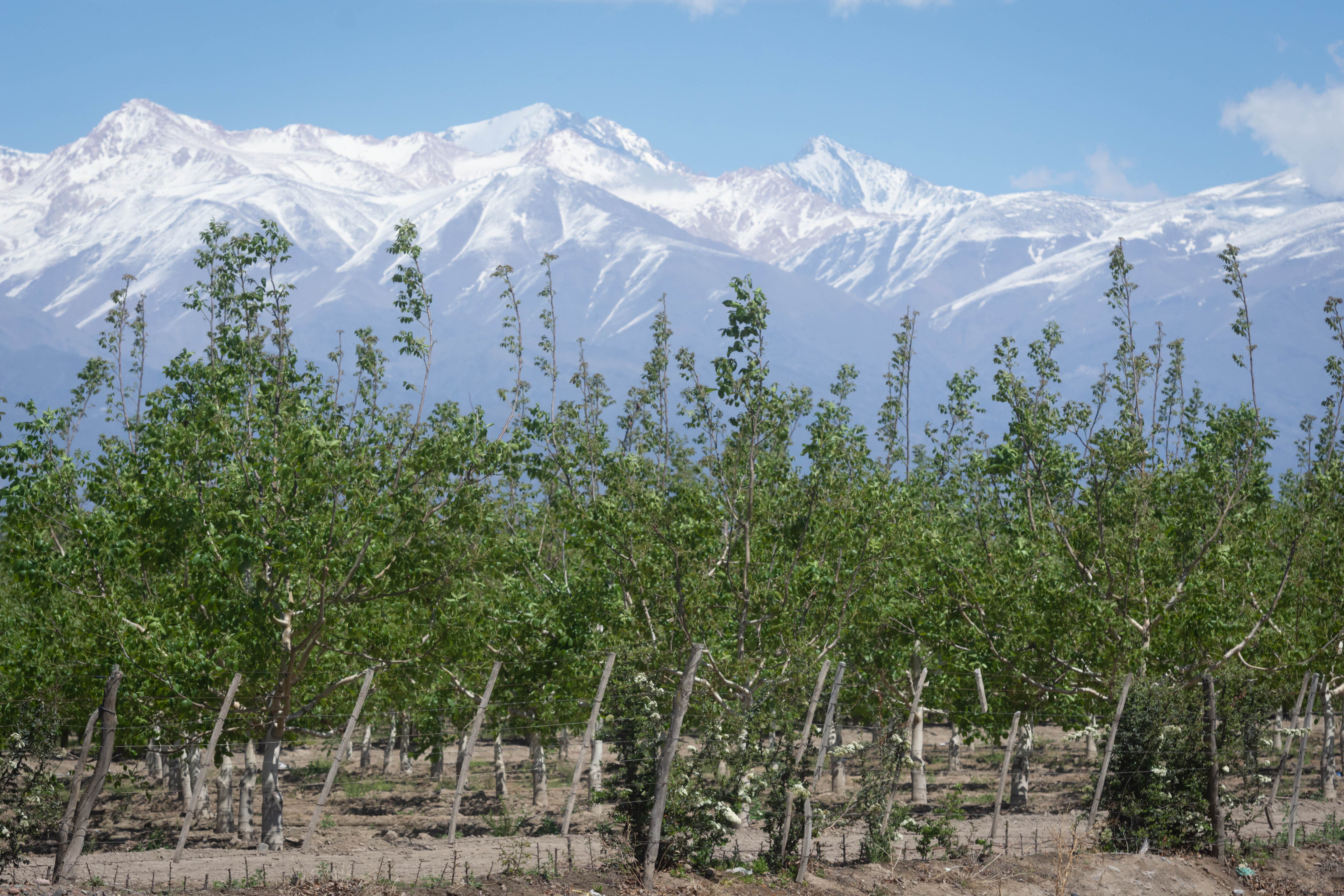 Foto:  Ignacio Blanco / Los Andes