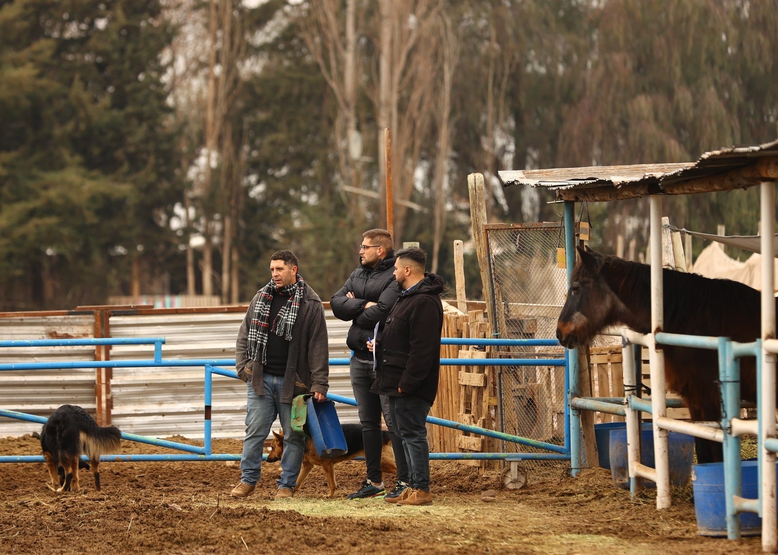 Maipú Municipio entregó a la Asociación PEMPA dosis de diferentes vacunas para que puedan aplicarse a los equinos que se encuentran en la sociedad protectora PEMPA.