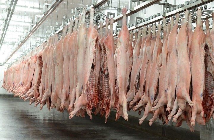 
    En los primeros 4 meses del año aumentaron la faena de cerdos 3% (2,2 millones) y la producción de carne 5% (201.000 toneladas)
   