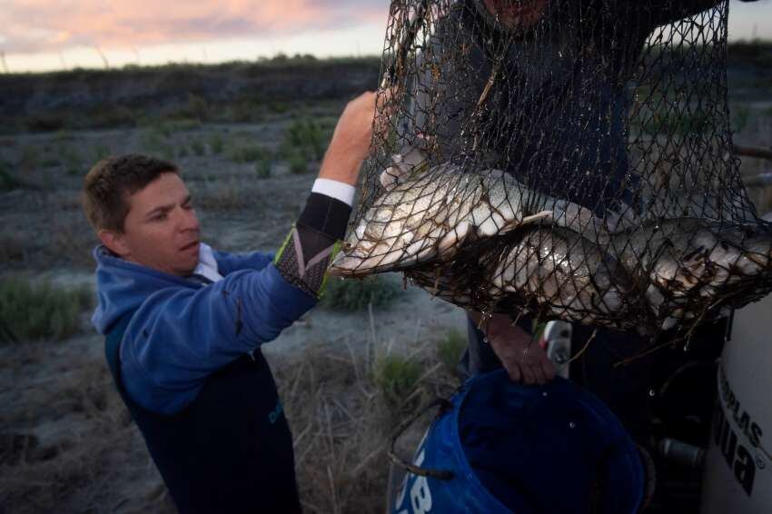 Laguna de las Salinas, de dónde se rescataron más de 1.000 peces, está casi desaparecida por la sequía . Foto: Ignacio Blanco / Los Andes.