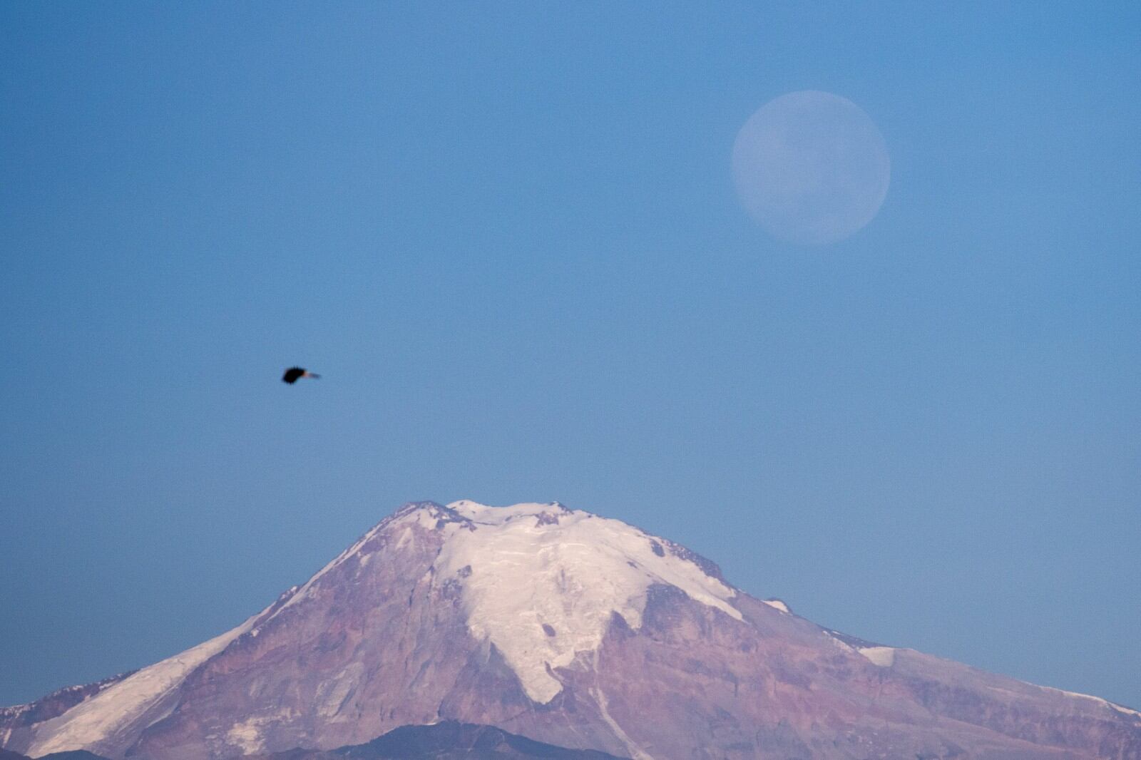 Luna en el amanecer Foto: Ignacio Blanco