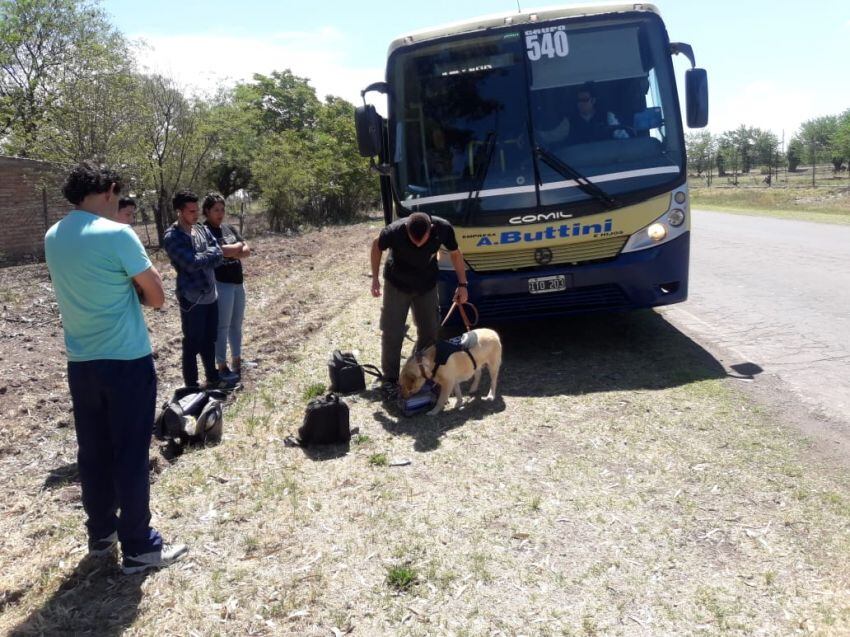 
    Ministerio de Seguridad
   