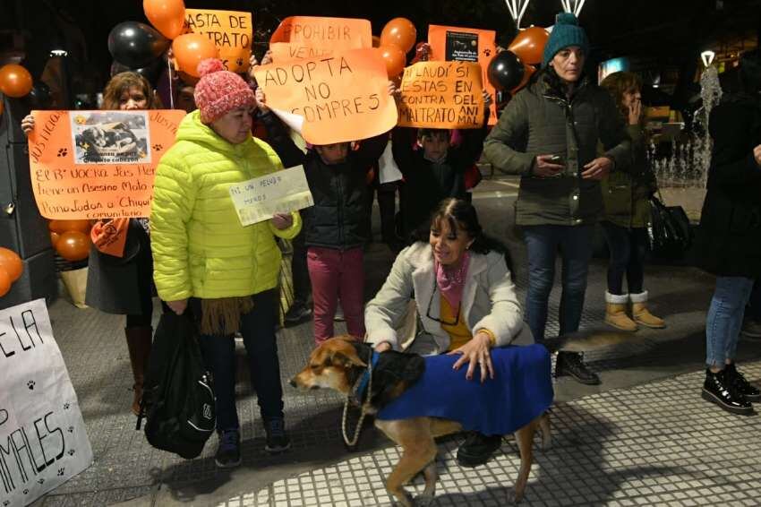 
Un grupo de defensores de los animales reclamaron justicia por los perros callejeros | Marcelo Rolland / Los Andes
   