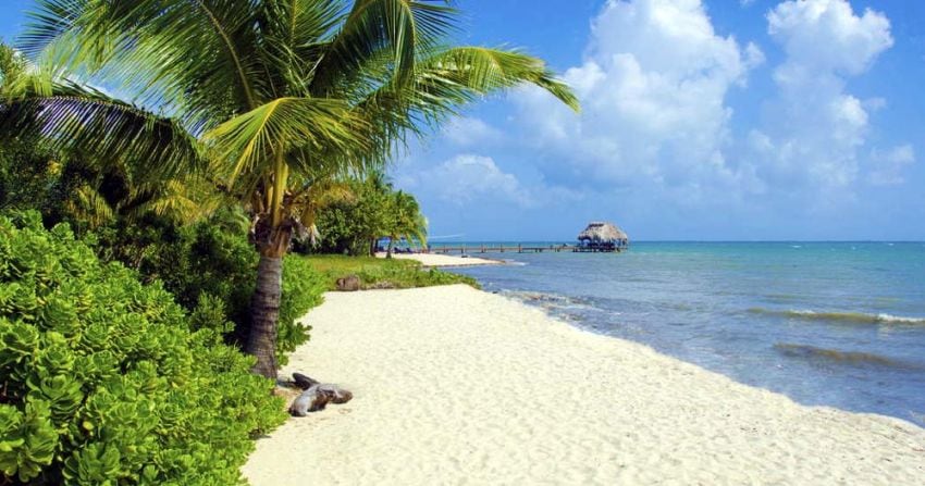 
    Las playas de arenas blancas y la selva de palmeras que llegan hasta la orilla del mar.
   