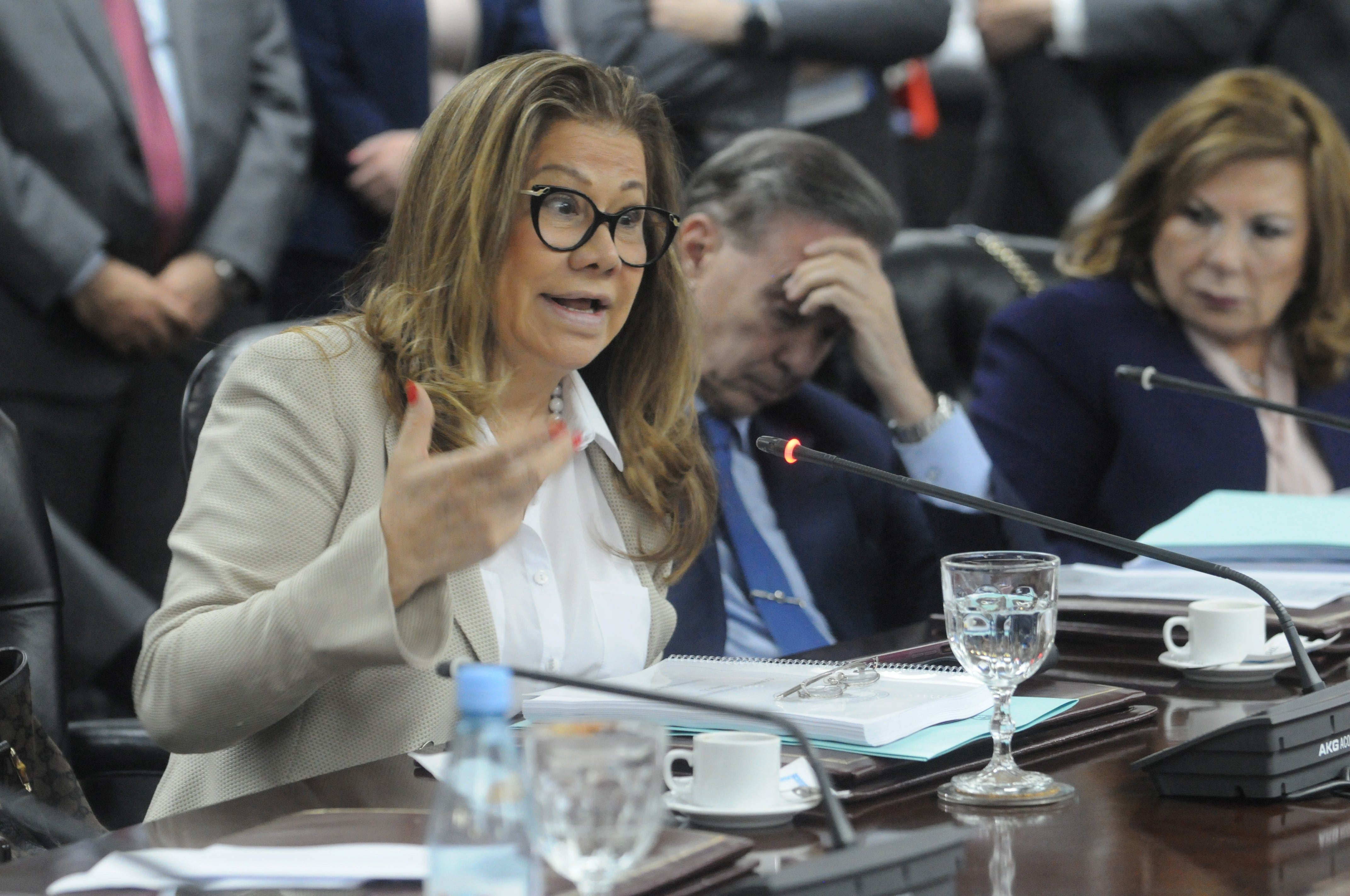 Graciela Camaño le dijo a Sergio Massa que estaba decepcionada por que no se cumple la paridad de género la conducción de la Cámara de Diputados. 