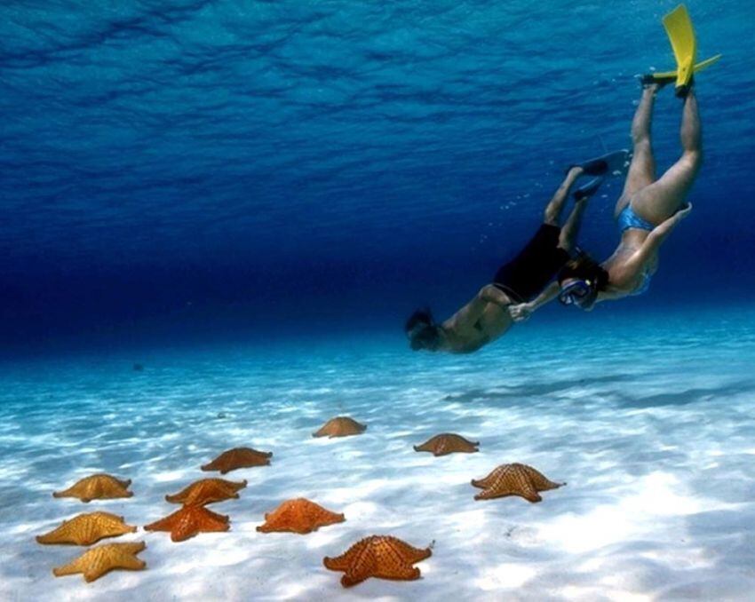 
    Cozumel. Las cristalinas aguas del Caribe permiten a los viajeros experiencias maravillosas. Esta isla está frente a Cancún.
   