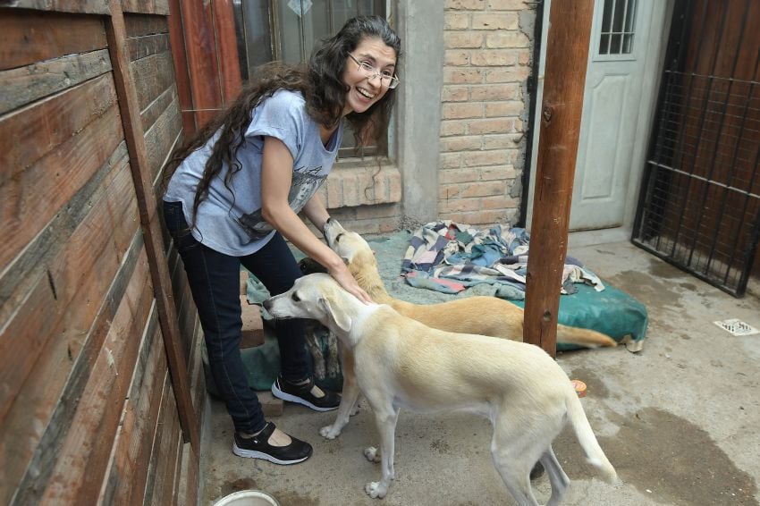 
En Bermejo. Yaya García aloja en su casa una decena de perros y da de comer a otros en la calle. | Marcelo Rolland / Los Andes
   