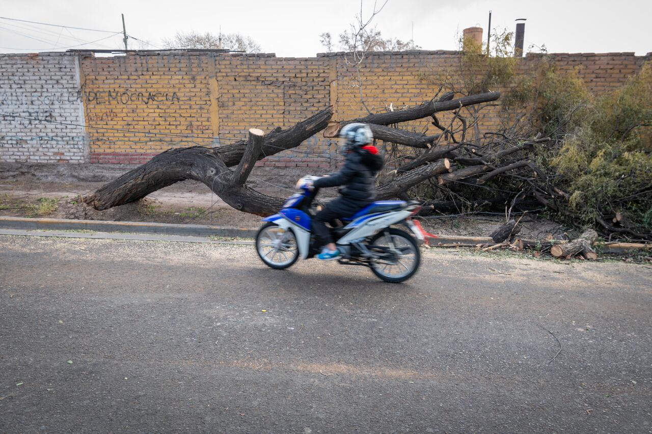 Foto: Ignacio Blanco / Los Andes