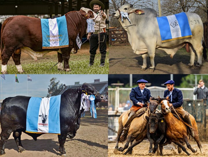 Expoagro 2021