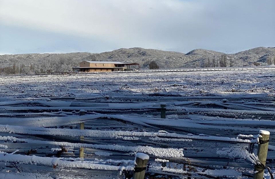 Tupungato amaneció cubierto de nieve y por el hielo en la calzada muchas rutas estuvieron cerradas varias horas.