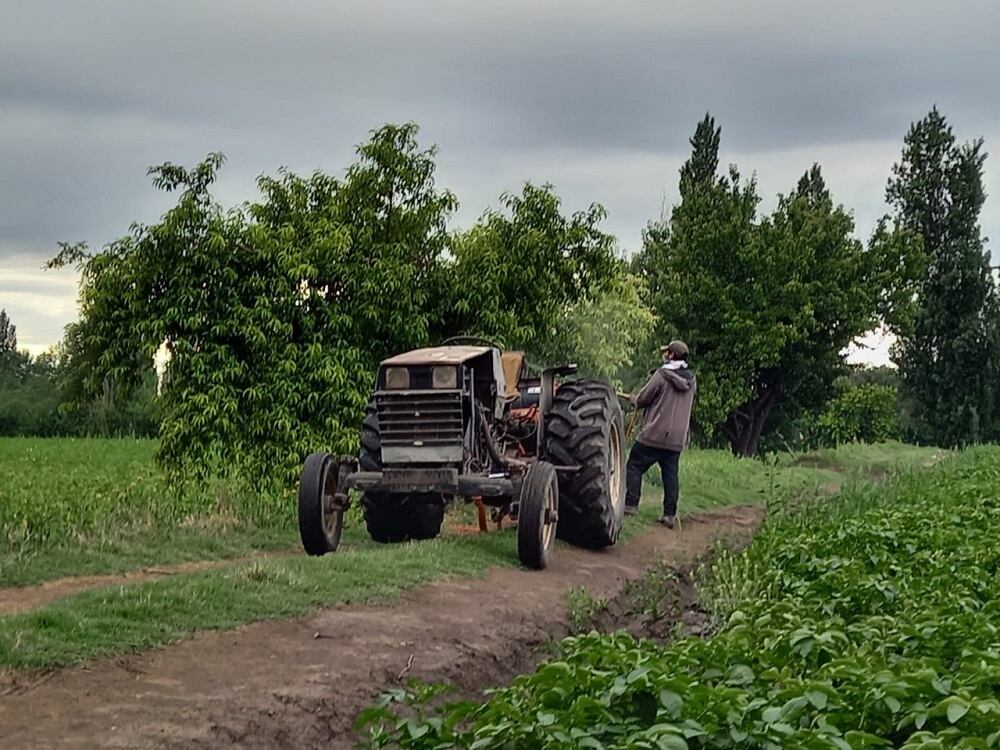 El grupo realizó el trabajo de campo en fincas de Kilómetro 8 y zonas aledañas. Foto: Gentileza investigadora.