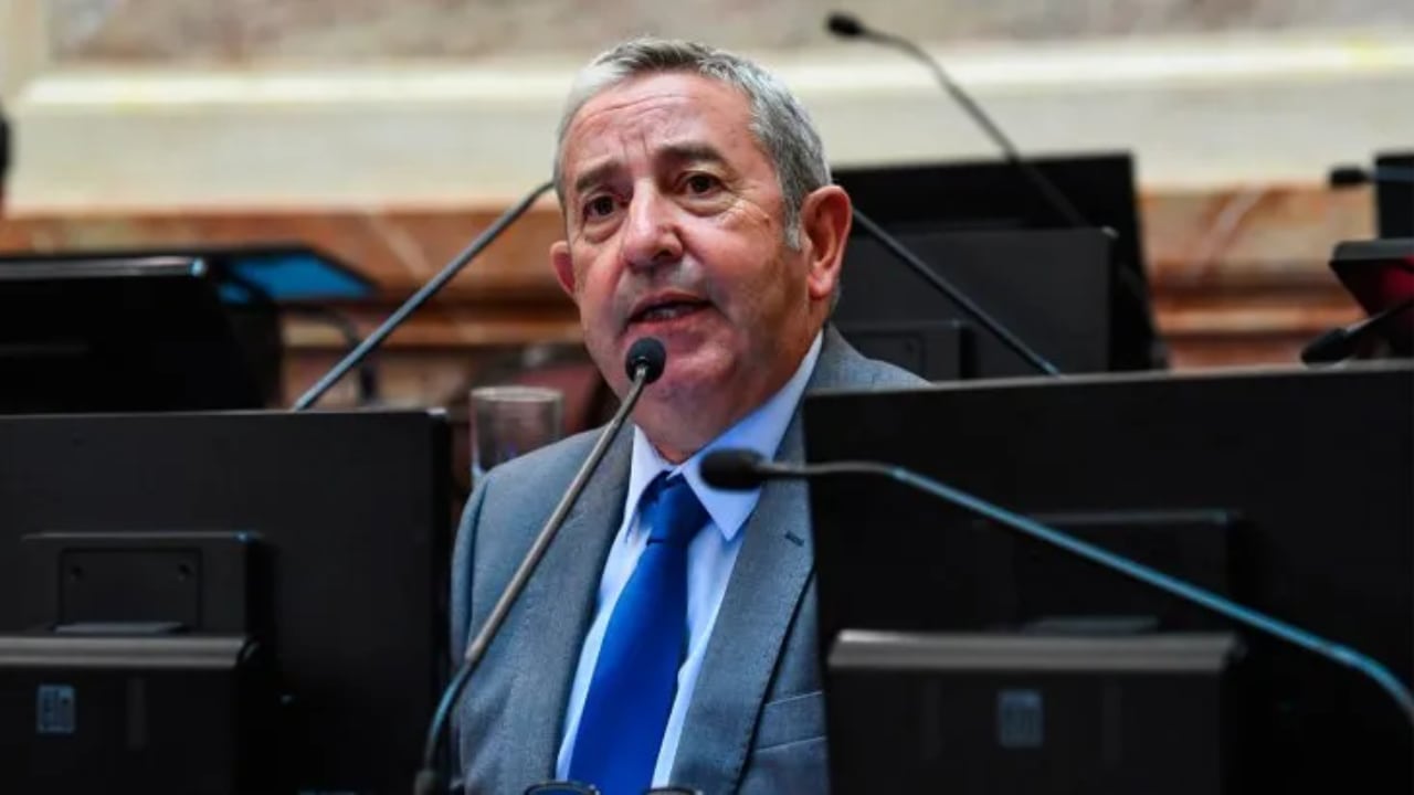 El diputado nacional Julio Cobos