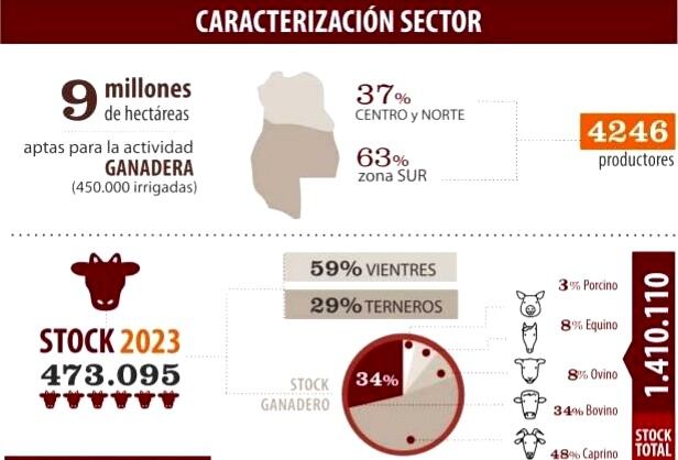 Datos del Clúster Ganadero