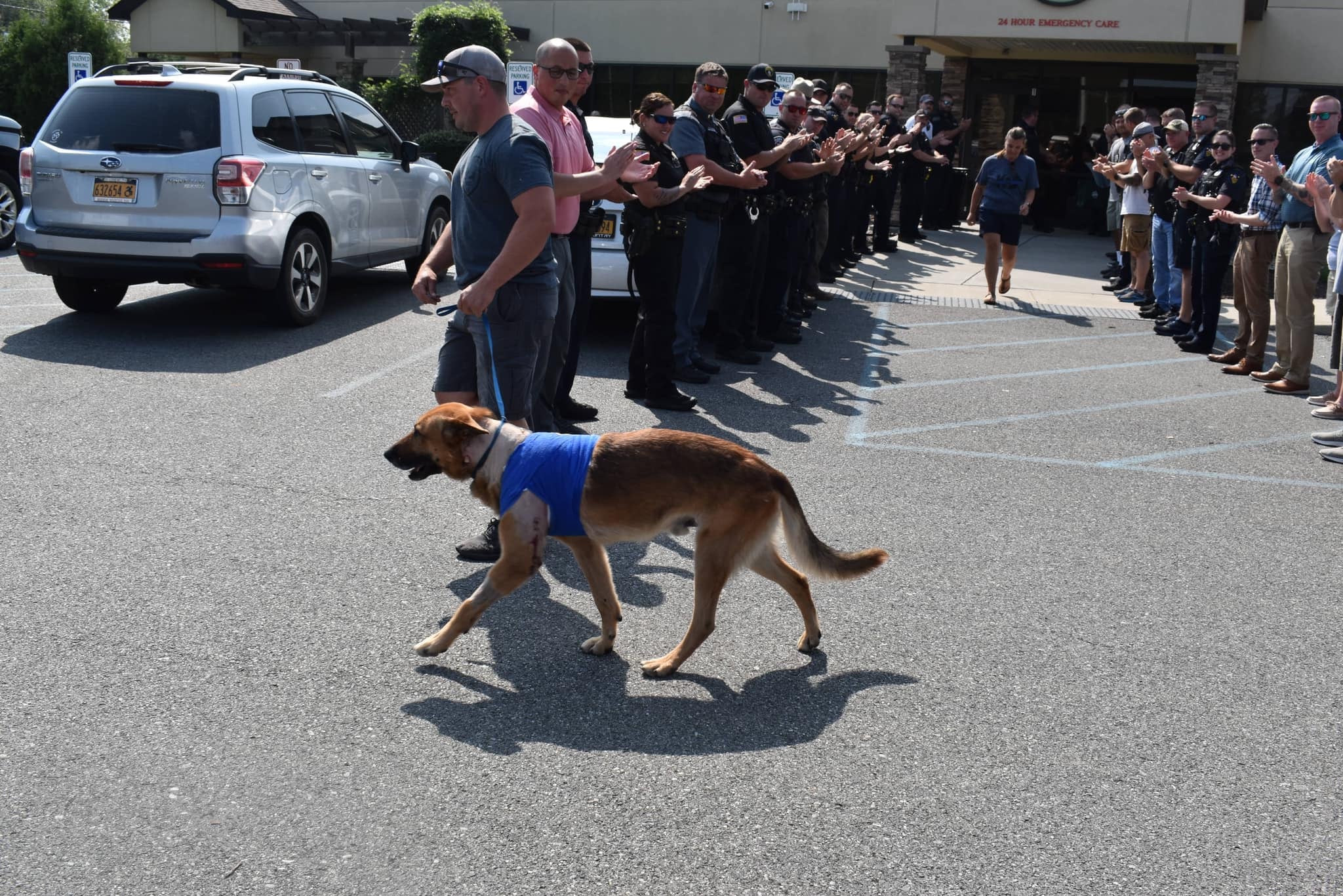 Norbi saliendo junto a su supervisor del  hospital de Servicios Veterinarios del Norte de Nueva York. Foto: Troy Police Department / Facebook