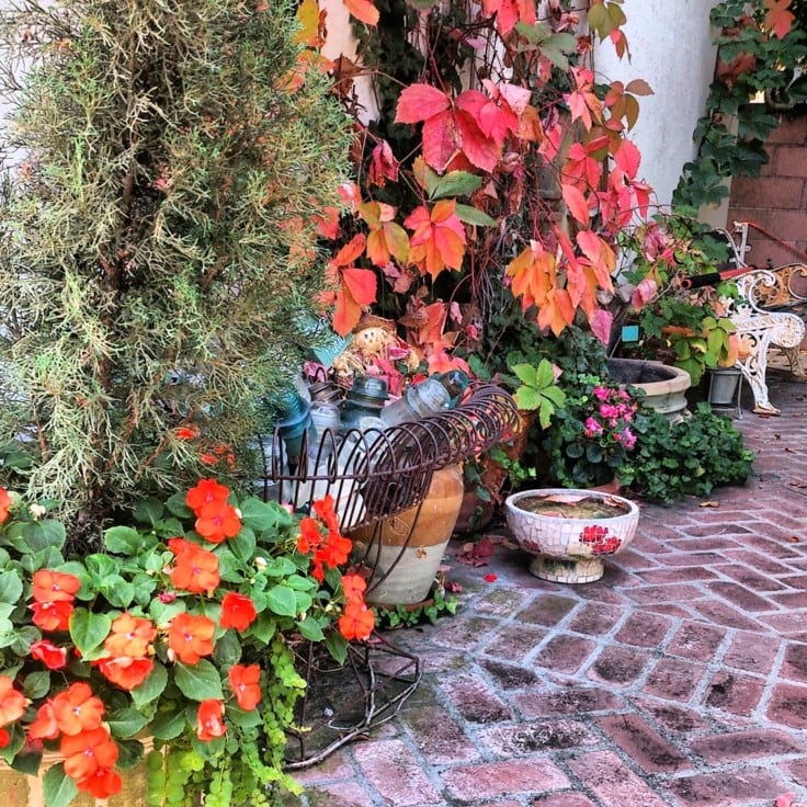 Tener un jardín colorido en otoño es posible.