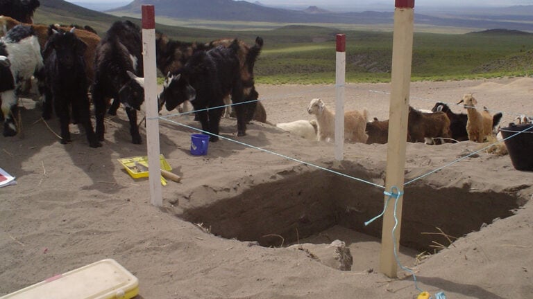 Excavaciones Arqueológicas en el Centro Occidente en el marco de los estudios de Dinámica Humana y Cambios Demográficos. Gentileza investigador.