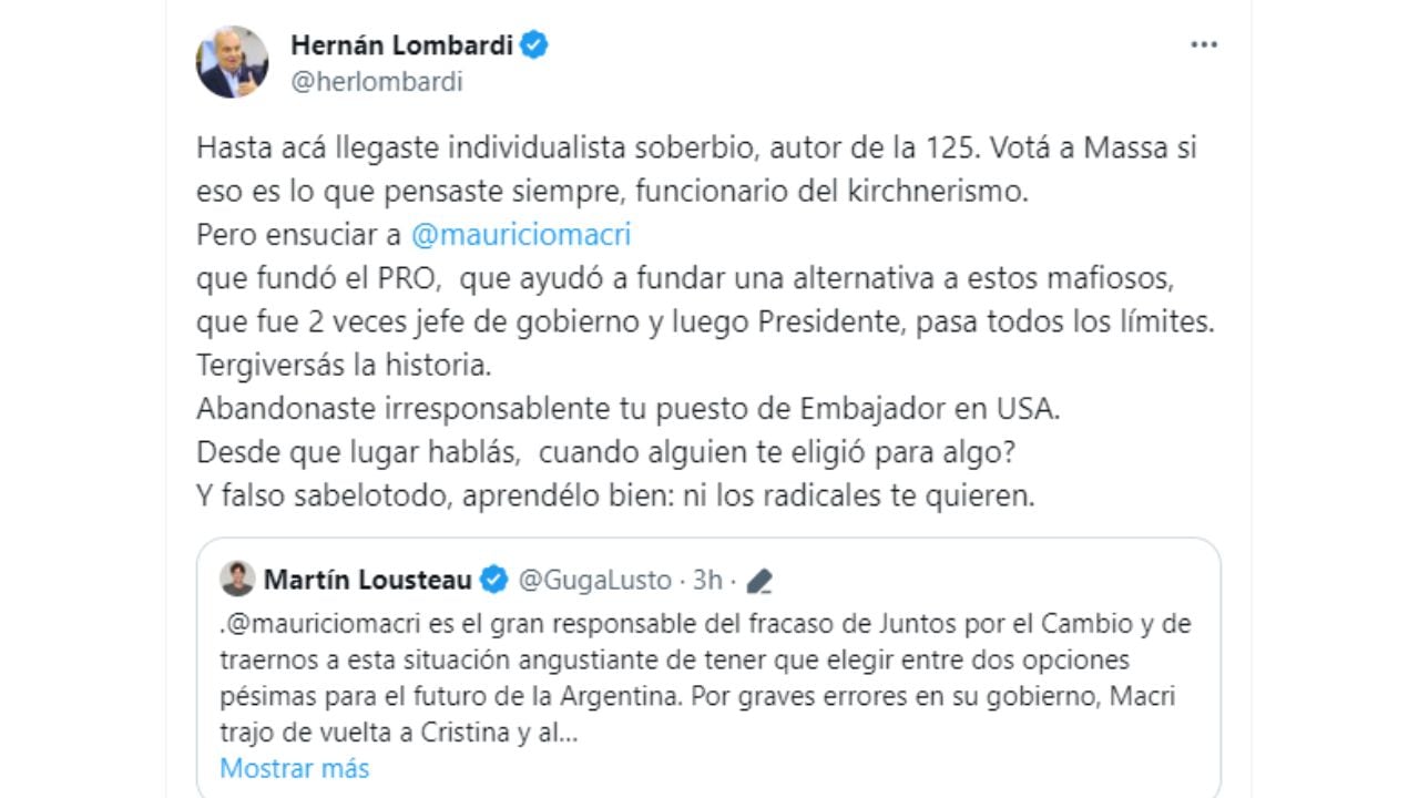 Hernán Lombardi cruzó en duros términos a Martín Lousteau tras sus críticas a Macri: “Ni los radicales te quieren”.