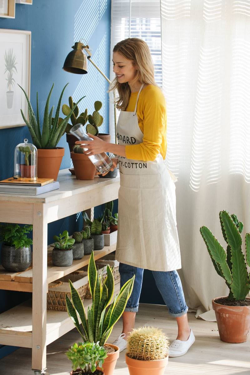 Esto ocurre si le echás agua hirviendo a las plantas del jardín.