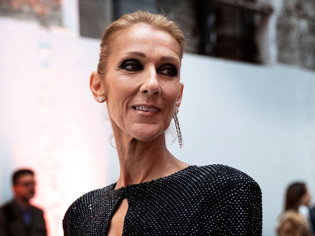 Celine Dion tendrá su película documental. / WEB