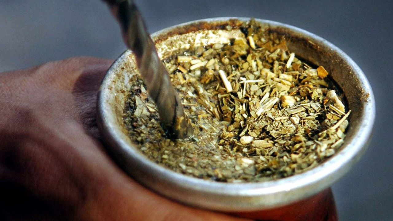 El SAG de Chile sí permite ingresar con yerba mate, pero puede revisarlo