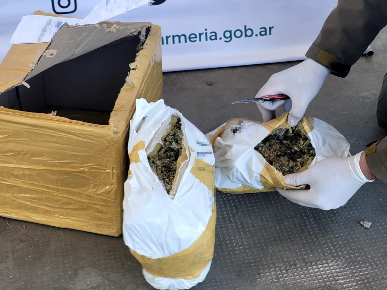 Gendarmería incautó más de un kilo de marihuana y luego atrapó a los sospechosos que fueron a retirar la encomienda. Foto: Gendarmería