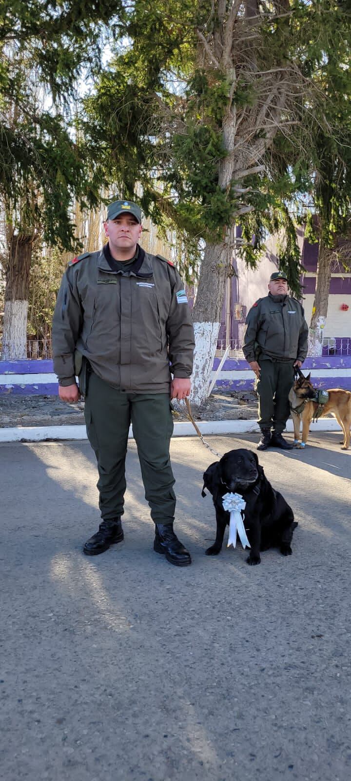 Quién es Pecky: anécdotas y la historia de la perra gendarme que emocionó a todos luego de su retiro. Foto: Gentileza Gendarmería Nacional