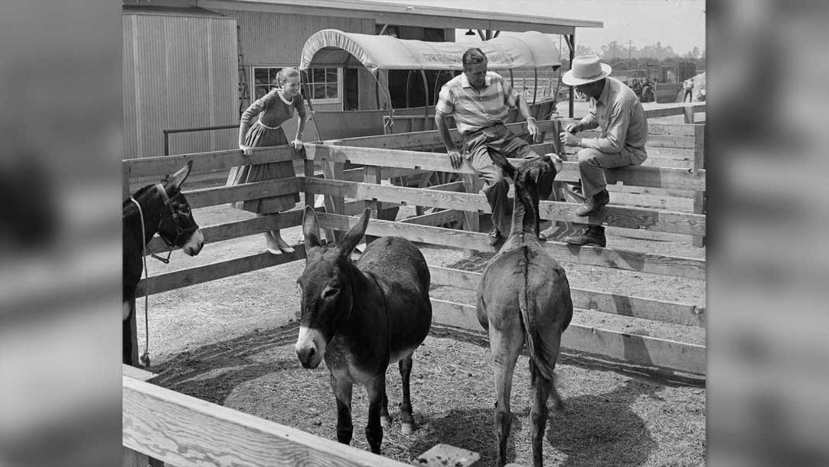 Owen y Dolly Pope junto a Walt Disney en los establos del parque a inicios de 50´ (gentileza Disney)