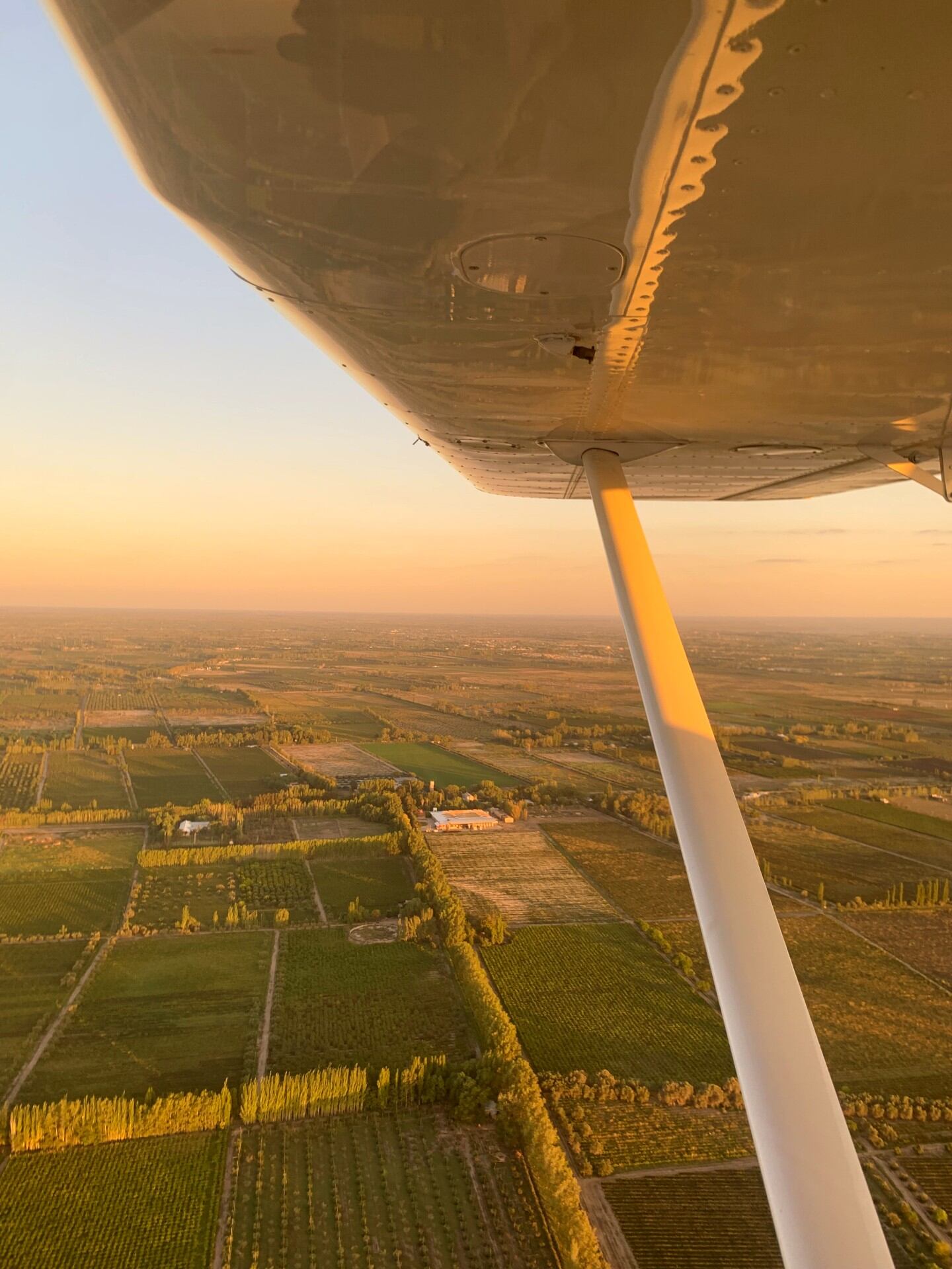 Vistas aéreas del este mendocino. Foto: Gaspar Da Cortá