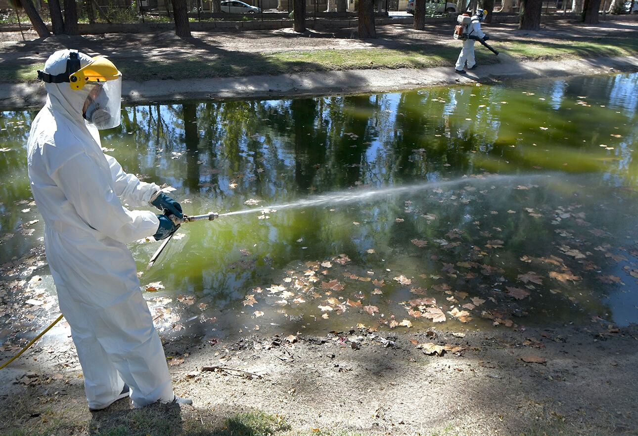 “El mosquito tiene una buena actividad cuando las temperaturas rondan entre los 18 y los 27 grados. Personal de Zoonosis de Guaymallén desinfectando para evitar la propagación del mosquito Dengue  en el lago de Bandera de los Andes y Urquiza
El dengue, es una enfermedad viral transmitida por la picadura del mosquito del género Aedes, principalmente por Aedes aegypti.

Foto : Orlando Pelichotti
